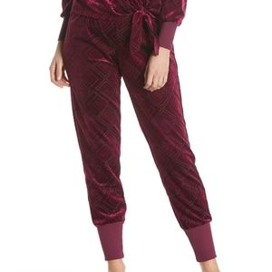 NWT Geo Velour Joggers